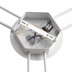 Потолочная люстра Lumion Gareta 8235/6C в Нижнекамске - nizhnekamsk.ok-mebel.com | фото 6