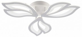 Потолочная люстра Natali Kovaltseva FORTUNA LED LAMPS 81107/2C в Нижнекамске - nizhnekamsk.ok-mebel.com | фото