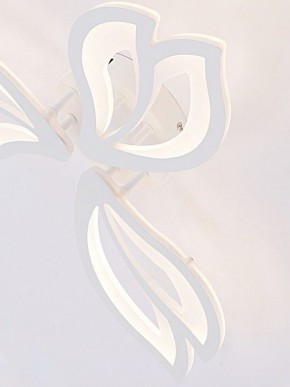 Потолочная люстра Natali Kovaltseva FORTUNA LED LAMPS 81107/2C в Нижнекамске - nizhnekamsk.ok-mebel.com | фото 11