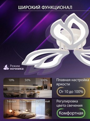 Потолочная люстра Natali Kovaltseva FORTUNA LED LAMPS 81107/2C в Нижнекамске - nizhnekamsk.ok-mebel.com | фото 5