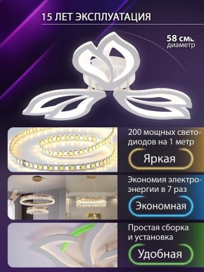 Потолочная люстра Natali Kovaltseva FORTUNA LED LAMPS 81107/2C в Нижнекамске - nizhnekamsk.ok-mebel.com | фото 6