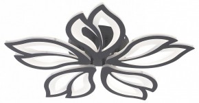 Потолочная люстра Natali Kovaltseva FORTUNA LED LAMPS 81107/5C в Нижнекамске - nizhnekamsk.ok-mebel.com | фото