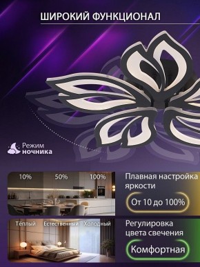 Потолочная люстра Natali Kovaltseva FORTUNA LED LAMPS 81107/5C в Нижнекамске - nizhnekamsk.ok-mebel.com | фото 6
