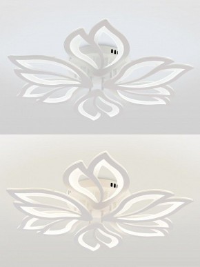 Потолочная люстра Natali Kovaltseva FORTUNA LED LAMPS 81107/6C в Нижнекамске - nizhnekamsk.ok-mebel.com | фото 4