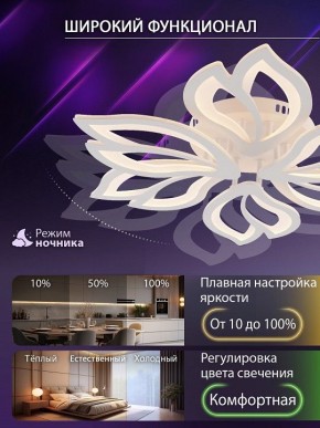 Потолочная люстра Natali Kovaltseva FORTUNA LED LAMPS 81107/6C в Нижнекамске - nizhnekamsk.ok-mebel.com | фото 6