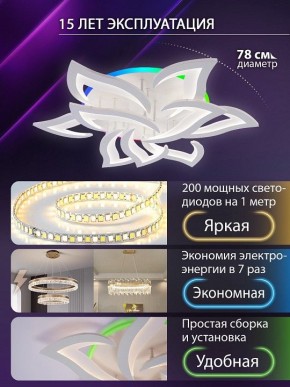 Потолочная люстра Natali Kovaltseva OLIMP LED LAMPS 81435 в Нижнекамске - nizhnekamsk.ok-mebel.com | фото 5