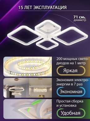 Потолочная люстра Natali Kovaltseva OPTI LED LAMPS 81108/1C в Нижнекамске - nizhnekamsk.ok-mebel.com | фото 5