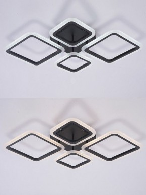 Потолочная люстра Natali Kovaltseva OPTI LED LAMPS 81108/2C в Нижнекамске - nizhnekamsk.ok-mebel.com | фото 4