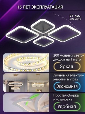 Потолочная люстра Natali Kovaltseva OPTI LED LAMPS 81108/2C в Нижнекамске - nizhnekamsk.ok-mebel.com | фото 5