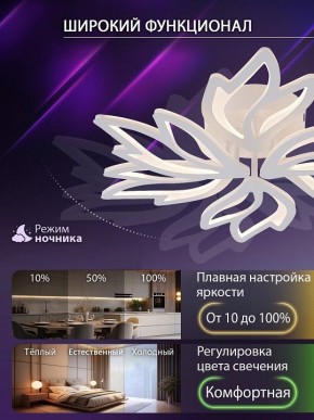 Потолочная люстра Natali Kovaltseva RIF LED LAMPS 81118/5C в Нижнекамске - nizhnekamsk.ok-mebel.com | фото 6