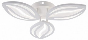 Потолочная люстра Natali Kovaltseva SM LED LAMPS 81456 в Нижнекамске - nizhnekamsk.ok-mebel.com | фото