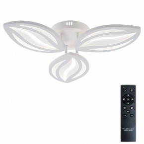 Потолочная люстра Natali Kovaltseva SM LED LAMPS 81456 в Нижнекамске - nizhnekamsk.ok-mebel.com | фото 2