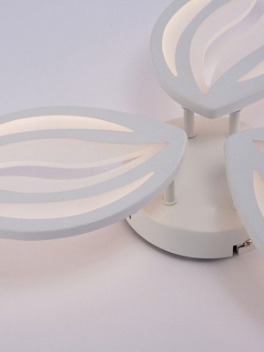 Потолочная люстра Natali Kovaltseva SM LED LAMPS 81456 в Нижнекамске - nizhnekamsk.ok-mebel.com | фото 9
