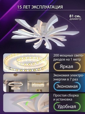 Потолочная люстра Natali Kovaltseva VIO LED LAMPS 81454 в Нижнекамске - nizhnekamsk.ok-mebel.com | фото 5