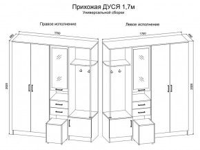 Прихожая Дуся 1.7 УНИ (Дуб Бунратти/Белый Бриллиант) в Нижнекамске - nizhnekamsk.ok-mebel.com | фото 2