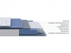 PROxSON Матрас Active M Roll (Ткань Трикотаж Эко) 160x200 в Нижнекамске - nizhnekamsk.ok-mebel.com | фото 2