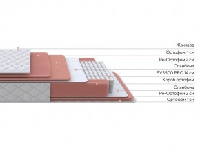 PROxSON Матрас Standart Plus M (Ткань Жаккард) 120x200 в Нижнекамске - nizhnekamsk.ok-mebel.com | фото 2