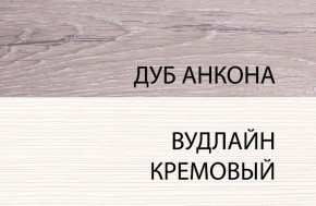 Шкаф 1DW, OLIVIA, цвет вудлайн крем/дуб анкона в Нижнекамске - nizhnekamsk.ok-mebel.com | фото 3