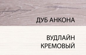 Шкаф 1DZ, OLIVIA, цвет вудлайн крем/дуб анкона в Нижнекамске - nizhnekamsk.ok-mebel.com | фото 3