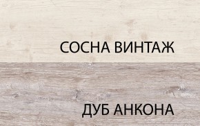 Шкаф 2D1SL, MONAKO, цвет Сосна винтаж/дуб анкона в Нижнекамске - nizhnekamsk.ok-mebel.com | фото