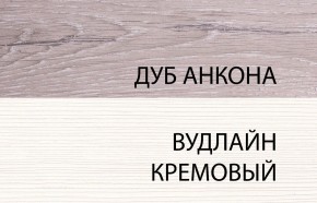 Шкаф 2DG, OLIVIA, цвет вудлайн крем/дуб анкона в Нижнекамске - nizhnekamsk.ok-mebel.com | фото 3