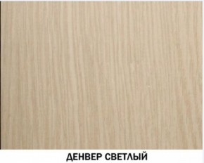 Шкаф для одежды №609 "Инна" Денвер светлый (*без полок) в Нижнекамске - nizhnekamsk.ok-mebel.com | фото 4