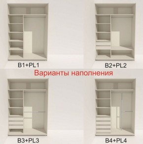 Шкаф-купе 1400 серии SOFT D8+D2+B2+PL4 (2 ящика+F обр.штанга) профиль «Графит» в Нижнекамске - nizhnekamsk.ok-mebel.com | фото 6