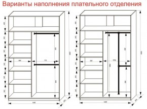 Шкаф-купе 1400 серии SOFT D8+D2+B2+PL4 (2 ящика+F обр.штанга) профиль «Графит» в Нижнекамске - nizhnekamsk.ok-mebel.com | фото 7