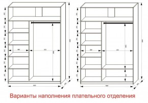 Шкаф-купе 1600 серии SOFT D1+D3+B2+PL1 (2 ящика+1штанга) профиль «Графит» в Нижнекамске - nizhnekamsk.ok-mebel.com | фото 6