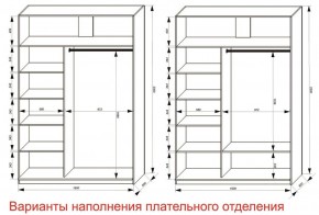 Шкаф-купе 1600 серии SOFT D6+D4+B2+PL2 (2 ящика+1штанга+1 полка) профиль «Капучино» в Нижнекамске - nizhnekamsk.ok-mebel.com | фото 8