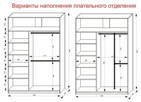 Шкаф-купе 1600 серии SOFT D6+D6+B2+PL3 (2 ящика+2штанги) профиль «Капучино» в Нижнекамске - nizhnekamsk.ok-mebel.com | фото 7