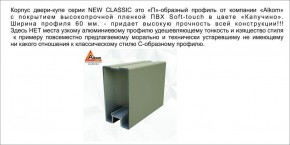 Шкаф-купе 1700 серии NEW CLASSIC K3+K3+B2+PL1 (2 ящика+1 штанга) профиль «Капучино» в Нижнекамске - nizhnekamsk.ok-mebel.com | фото 17
