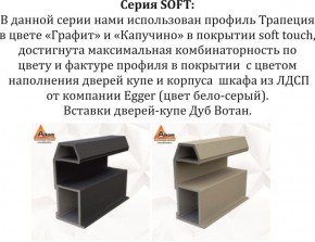 Шкаф-купе 1800 серии SOFT D1+D3+B2+PL1 (2 ящика+1штанга) профиль «Графит» в Нижнекамске - nizhnekamsk.ok-mebel.com | фото 11