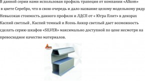 Шкаф-купе 2250 серии SILVER S3+S1+S3Z B22+PL2 (по 2 ящика лев/прав+1штанга+1 полка) профиль «Серебро» в Нижнекамске - nizhnekamsk.ok-mebel.com | фото 4