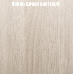 Шкаф-купе «ТАНДЕМ» 2-х дверный в алюминиевом профиле (Дверь К+К) 1600/h2200 в Нижнекамске - nizhnekamsk.ok-mebel.com | фото 6