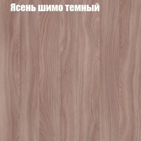 Шкаф-купе «ТАНДЕМ» 2-х дверный в алюминиевом профиле (Дверь К+К) 1600/h2200 в Нижнекамске - nizhnekamsk.ok-mebel.com | фото 7