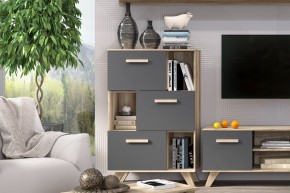 Шкаф низкий с нишами Вега Скандинавия в Нижнекамске - nizhnekamsk.ok-mebel.com | фото 6