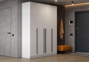 Шкаф платяной Бирма в Нижнекамске - nizhnekamsk.ok-mebel.com | фото 5