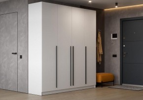 Шкаф платяной Бирма в Нижнекамске - nizhnekamsk.ok-mebel.com | фото 4
