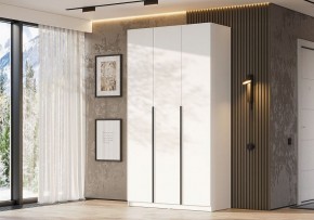 Шкаф платяной Даиго в Нижнекамске - nizhnekamsk.ok-mebel.com | фото 3