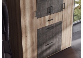 Шкаф платяной Паркинс в Нижнекамске - nizhnekamsk.ok-mebel.com | фото 3