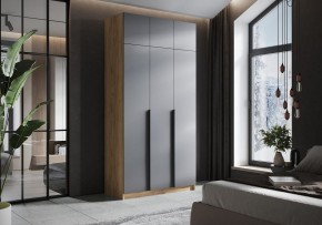 Шкаф платяной Широн в Нижнекамске - nizhnekamsk.ok-mebel.com | фото 4