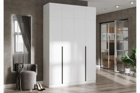 Шкаф платяной Широн в Нижнекамске - nizhnekamsk.ok-mebel.com | фото 3