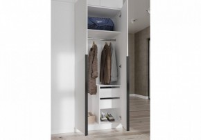 Шкаф платяной Широн в Нижнекамске - nizhnekamsk.ok-mebel.com | фото 3