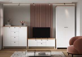 Шкаф платяной Теодора в Нижнекамске - nizhnekamsk.ok-mebel.com | фото 4
