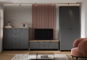 Шкаф платяной Теодора в Нижнекамске - nizhnekamsk.ok-mebel.com | фото 3