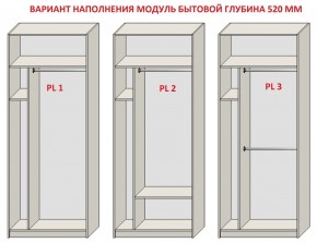 Шкаф распашной серия «ЗЕВС» (PL3/С1/PL2) Серый камень/Небраска натуральный в Нижнекамске - nizhnekamsk.ok-mebel.com | фото 5