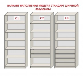 Шкаф распашной серия «ЗЕВС» (PL3/С1/PL2) Серый камень/Небраска натуральный в Нижнекамске - nizhnekamsk.ok-mebel.com | фото 6