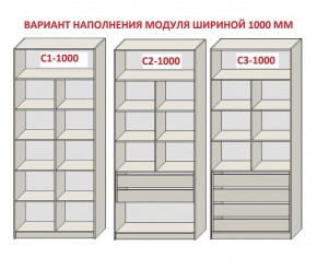 Шкаф распашной серия «ЗЕВС» (PL3/С1/PL2) Серый камень/Небраска натуральный в Нижнекамске - nizhnekamsk.ok-mebel.com | фото 7