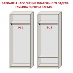 Шкаф распашной серия «ЗЕВС» (PL3/С1/PL2) Серый камень/Небраска натуральный в Нижнекамске - nizhnekamsk.ok-mebel.com | фото 9